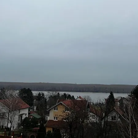 Real Banovci Novi Banovci